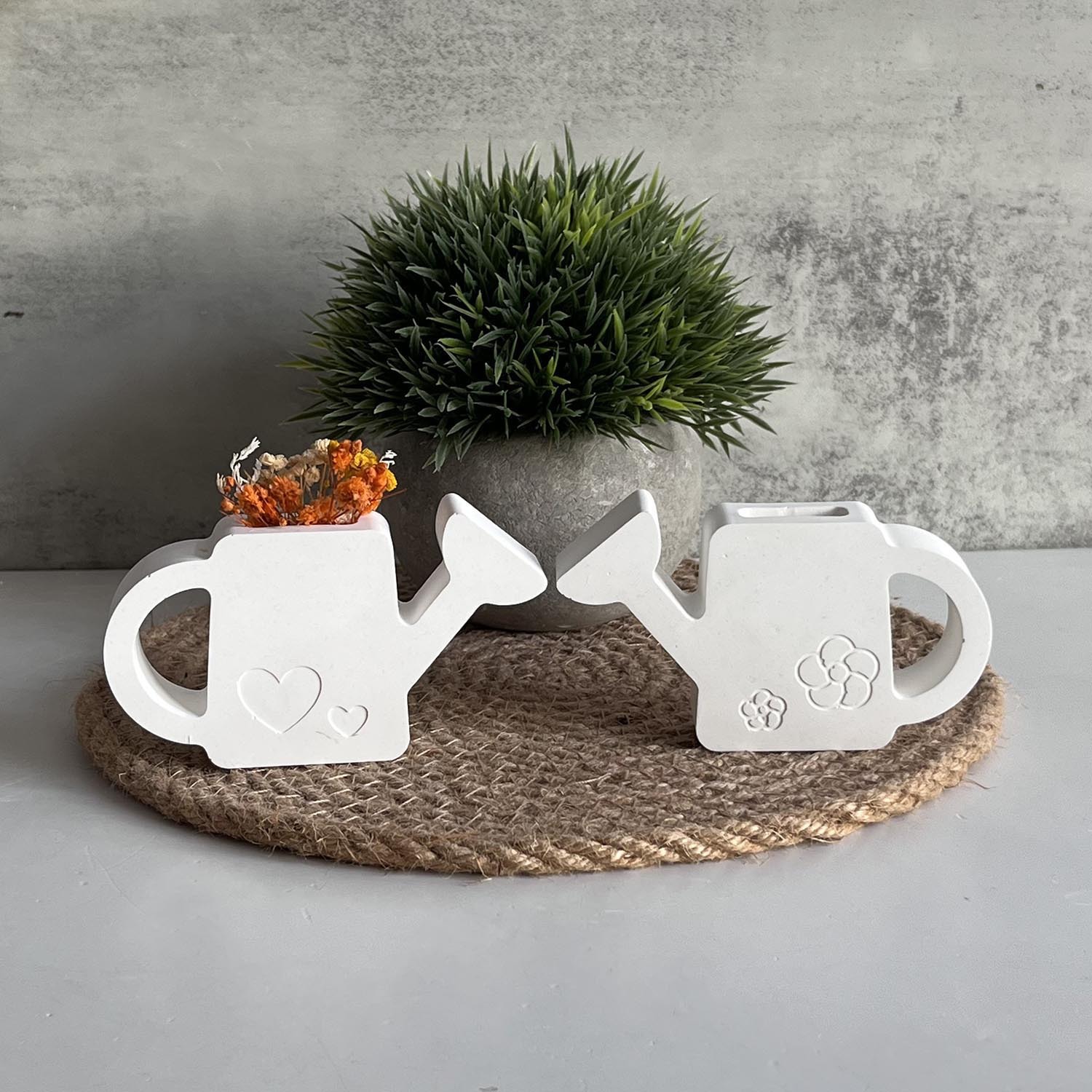 2PCS Gypsum Watering Pot Silic - Potsticker Mold review and price